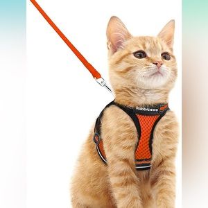 Cat harness and leash size Small